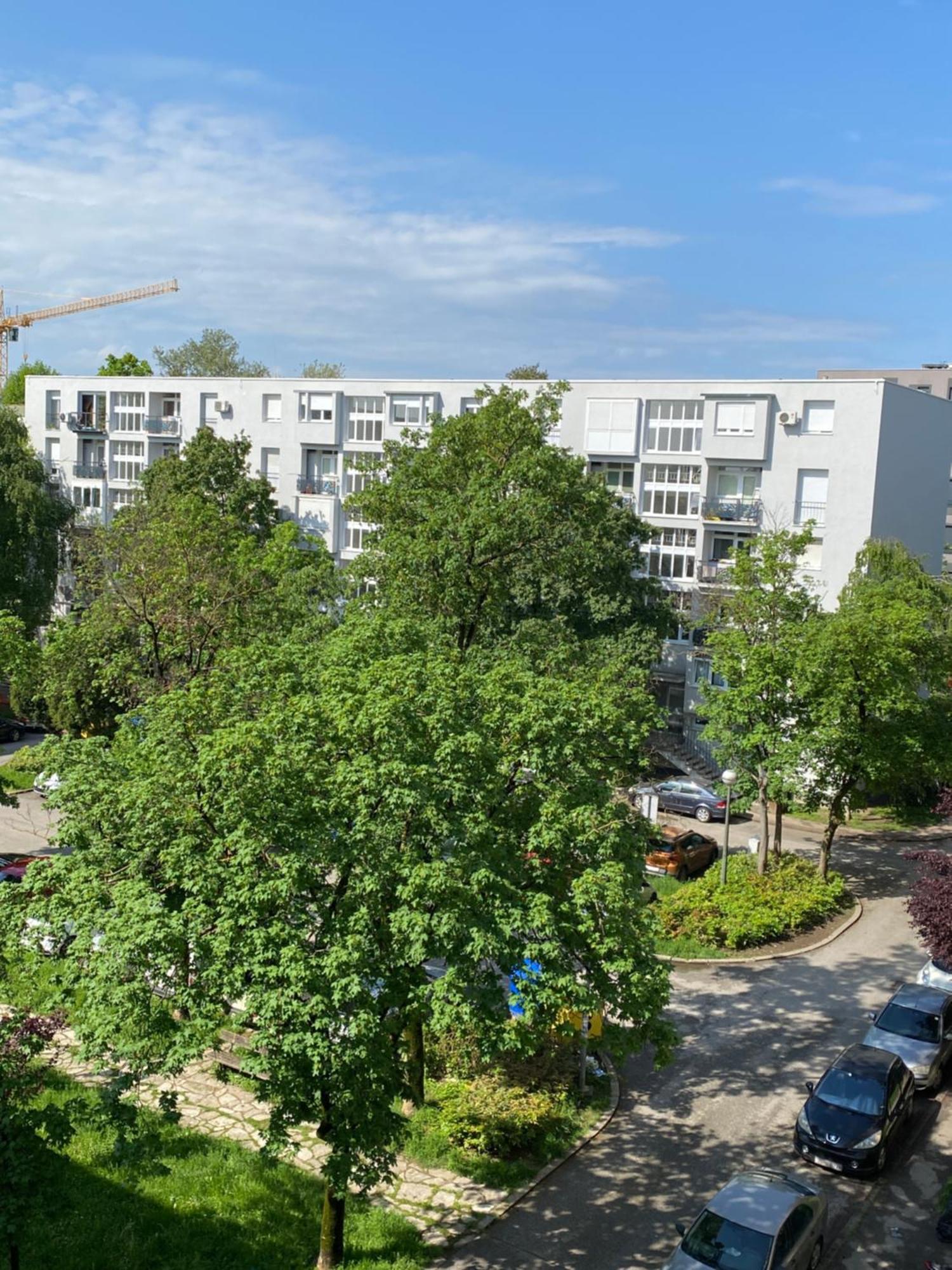 Colorful Urban Oasis Lägenhet Zagreb Exteriör bild